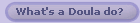 What's a Doula do?